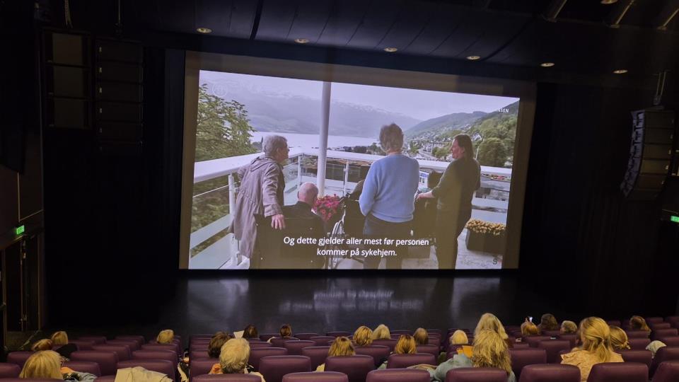 Lenkje til artikkel: Fagleg god pårørandekonferanse