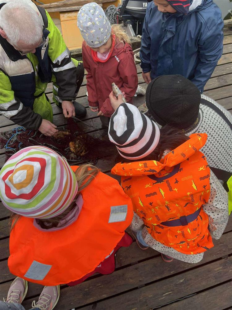 Klikk for stort bilete