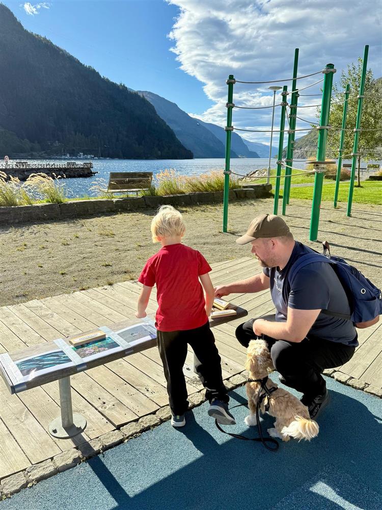 Klikk for stort bilete