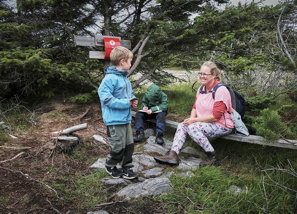 Klikk for stort bilete