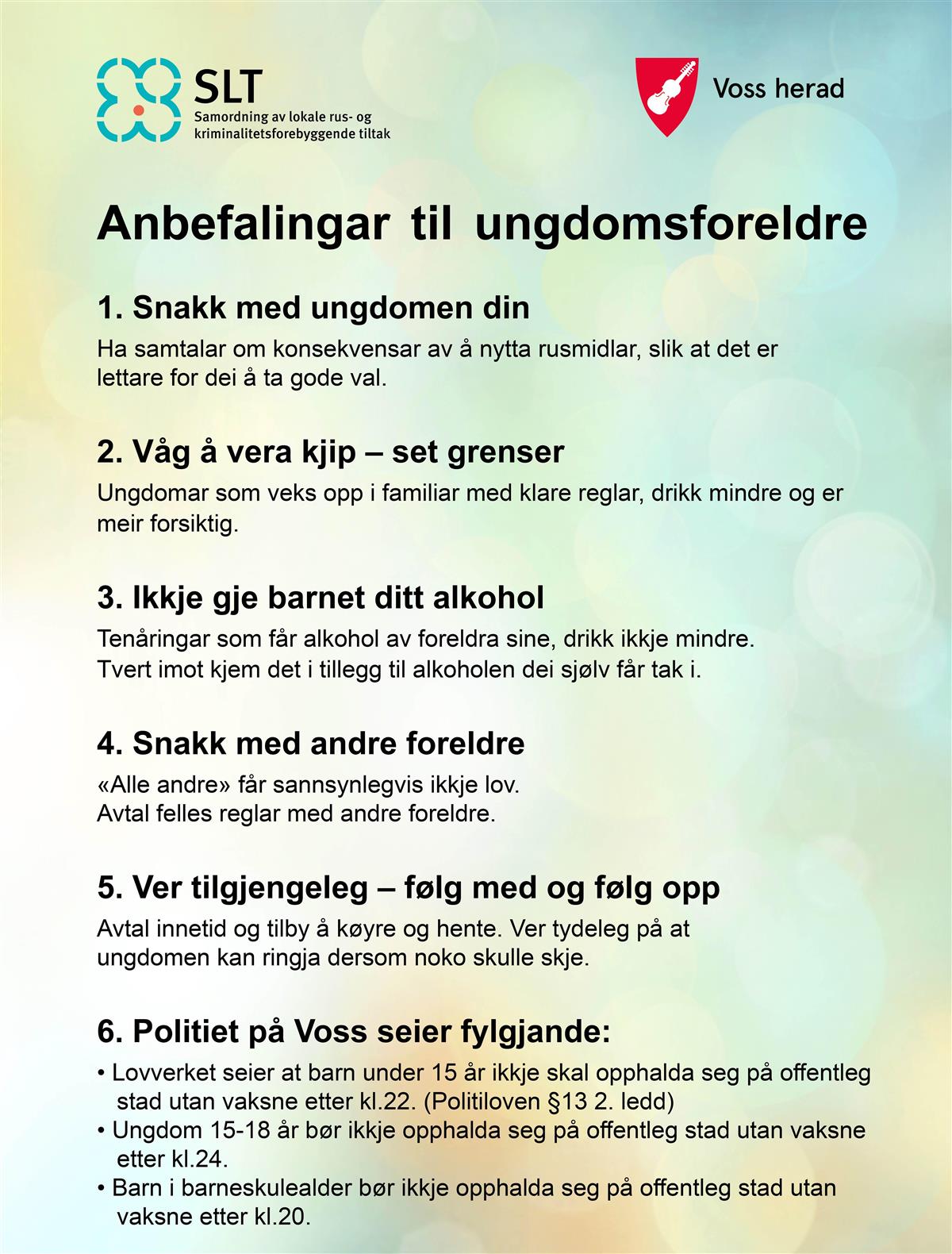 Anbefalingar til ungdomsforeldre: 1. Snakk med ungdommen din! Ha samtalar om konsekvensar av å nytta rusmidlar, slik at det er lettare for dei å ta gode val. 2. Våg å vera kjip - set grenser! Ungdomar som veks opp i familiar med klare reglar, drikk mindre og er meir forsiktige. 3. Ikkje gje barnet ditt alkohol! Tenåringar som får alkohol av foreldra sine, drikk ikkje mindre. Tvert imot kjem det i tillegg til alkoholen dei sjølv får tak i. 4. Snakk med andre foreldre! "Alle andre" får sannsynlegvis ikkje lov. Avtal felles reglar med andre foreldre. 5. Ver tilgjengeleg - følg med og følg opp! Avtal innetid og tilby å køyre og hente. Ver tydeleg på at ungdomen kan ringje dersom noko skulle skje. 6. Politiet på Voss seier fylgjande: Lovverket seier at barn under 15 år ikkje skal opphalda seg på offentleg stad utan vaksne etter kl 22 (politiloven §13 2. ledd), ungdom 15-18 år bør ikkje opphalda seg på offentleg stad utan vaksne etter kl 24. Barn i barneskulealder bør ikkje opphalda seg på offentleg stad utan vaksen etter kl 20. - Klikk for stort bilete
